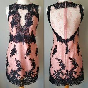 Topshop Eyelash Lace Decorated Dress